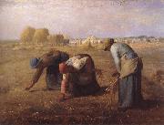 jean-francois millet Axplockerskorna oil painting reproduction